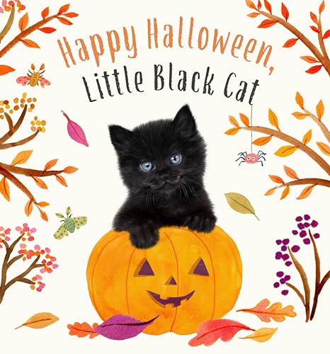 Happy Halloween Little Black Cat by Amanda Wood